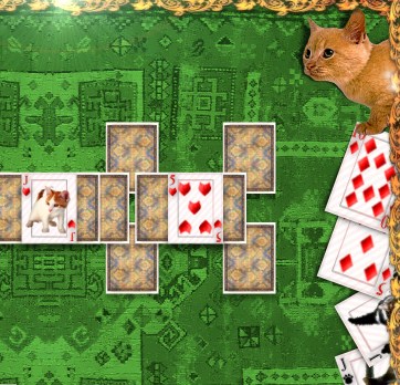 Kitten Solitaire